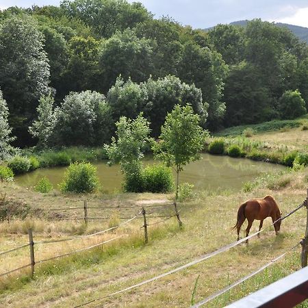 La Bergerie Bed & Breakfast Pollionnay Exterior foto