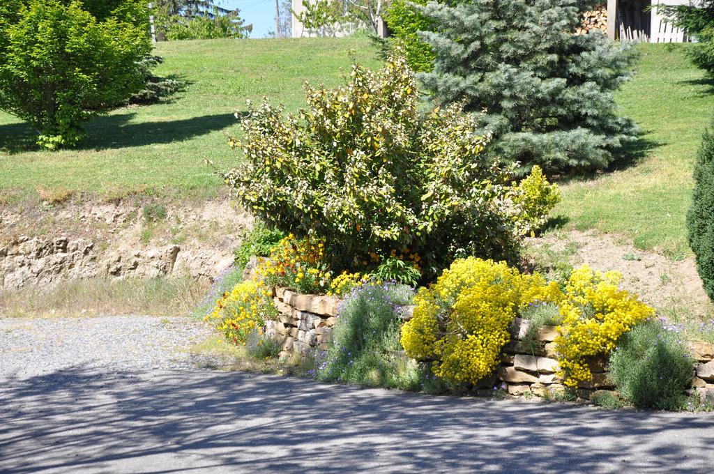 La Bergerie Bed & Breakfast Pollionnay Exterior foto