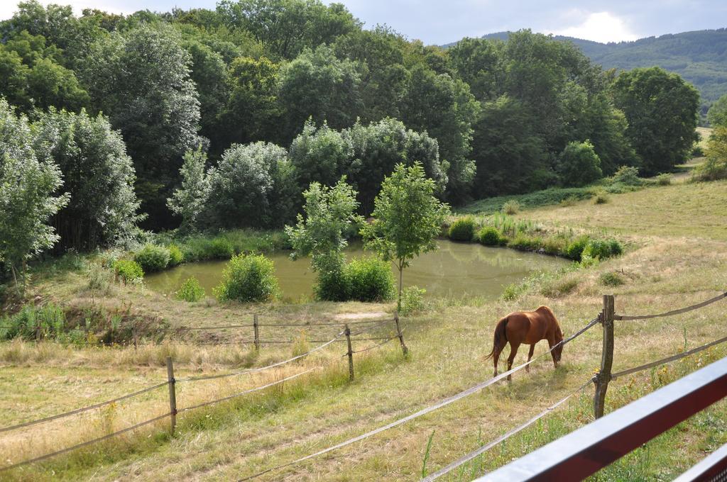 La Bergerie Bed & Breakfast Pollionnay Exterior foto